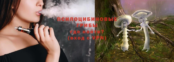 дурь Кодинск