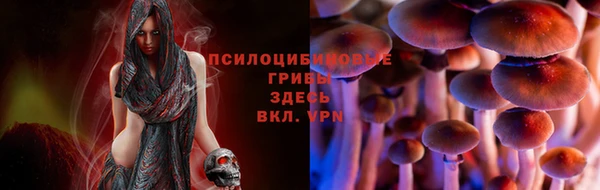 spice Коряжма